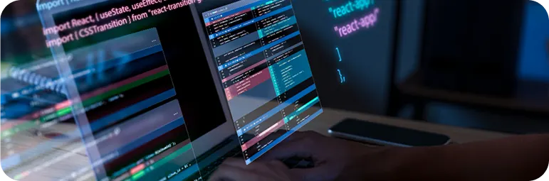 Custom Software Development:
